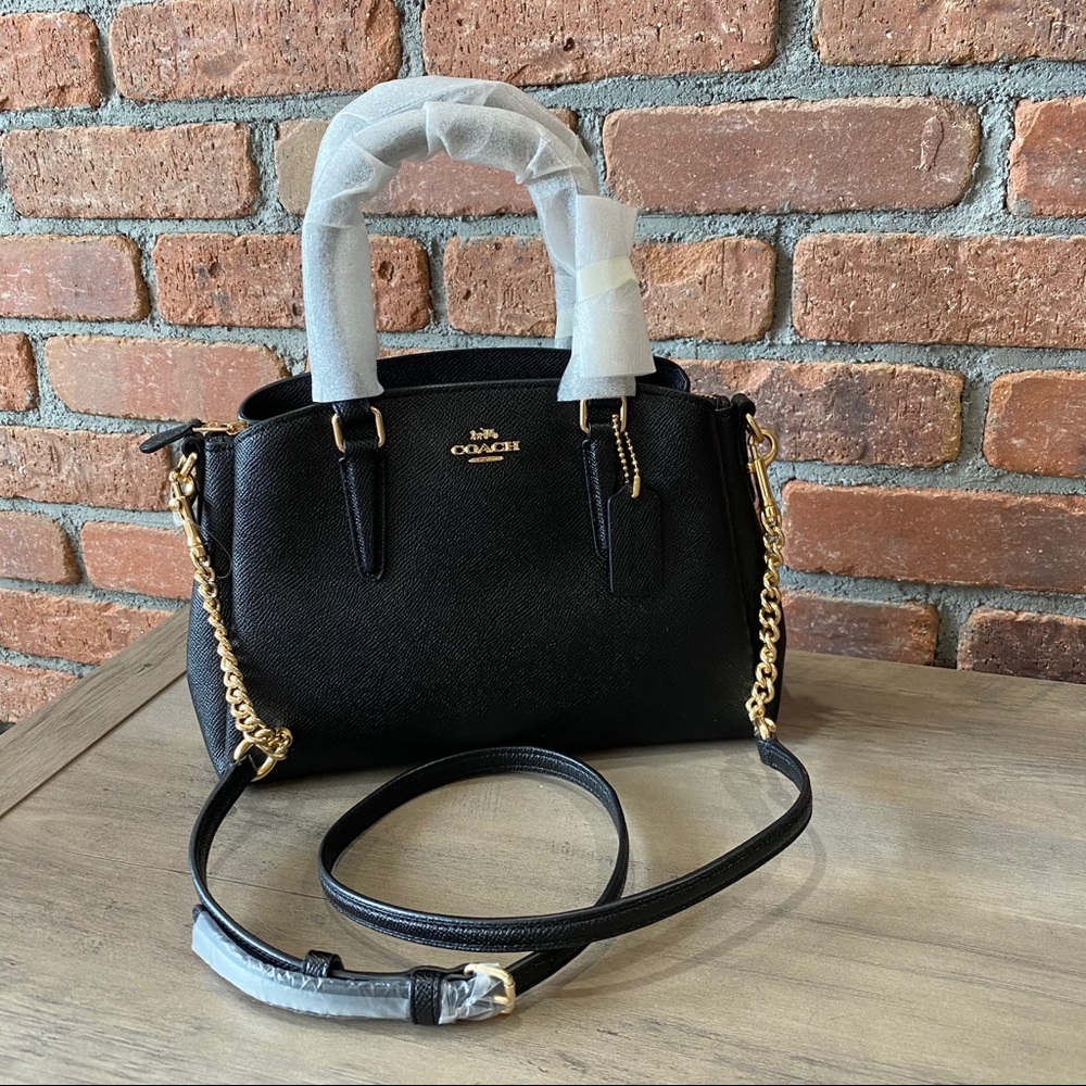 MINI SAGE CARRYALL (COACH F28977)